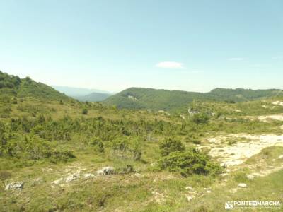 Montaña Alavesa - Parque Natural de Izki: parque nacional los picos de europa año nuevo madrid sende